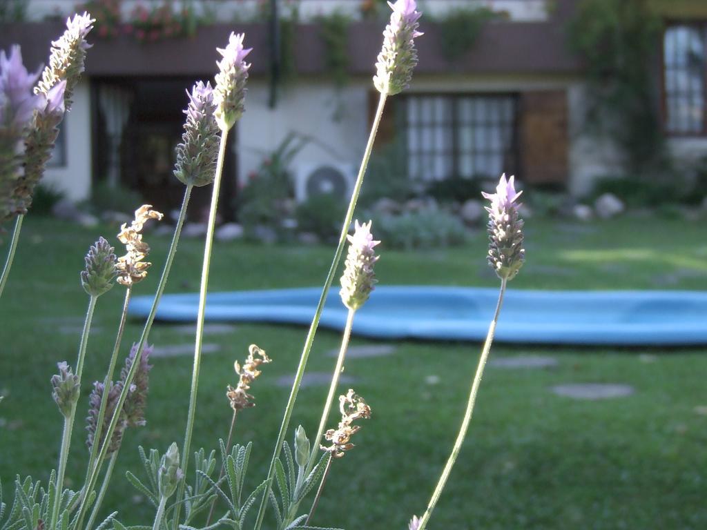 Hosteria Pascana San Salvador de Jujuy Buitenkant foto
